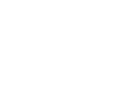 289consulting-300x248