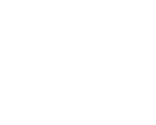 289consulting-300x248